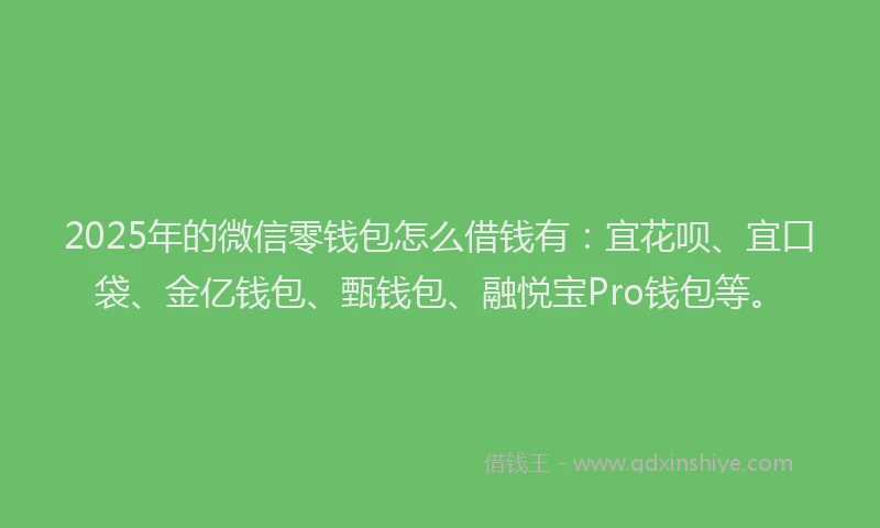 2025年的微信零钱包怎么借钱有：宜花呗、宜口袋、金亿钱包、甄钱包、融悦宝Pro钱包等。