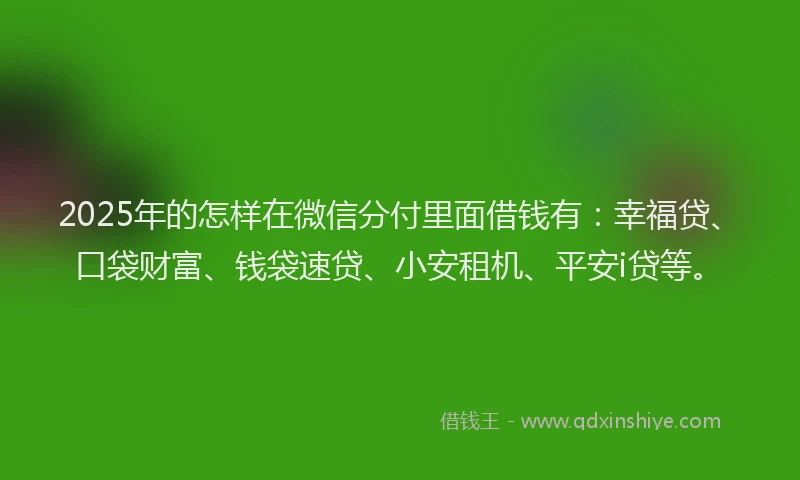 2025年的怎样在微信分付里面借钱有：幸福贷、口袋财富、钱袋速贷、小安租机、平安i贷等。