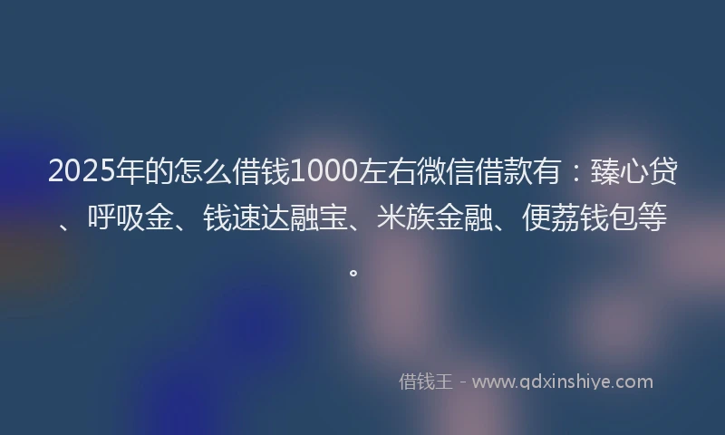 2025年的怎么借钱1000左右微信借款有：臻心贷、呼吸金、钱速达融宝、米族金融、便荔钱包等。