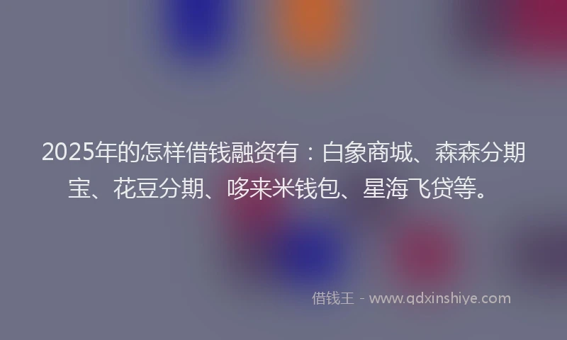 2025年的怎样借钱融资有：白象商城、森森分期宝、花豆分期、哆来米钱包、星海飞贷等。