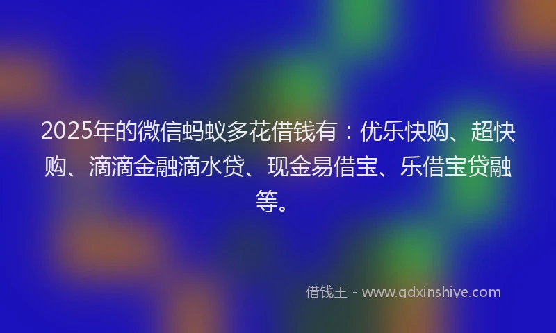 2025年的微信蚂蚁多花借钱有：优乐快购、超快购、滴滴金融滴水贷、现金易借宝、乐借宝贷融等。