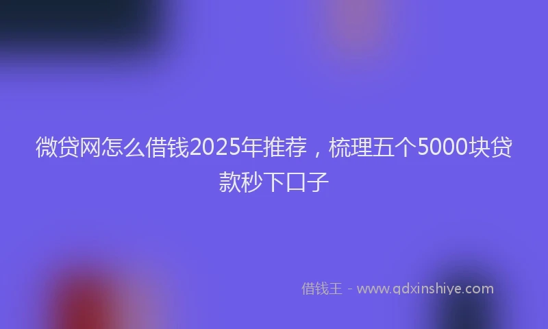 微贷网怎么借钱2025年推荐，梳理五个5000块贷款秒下口子