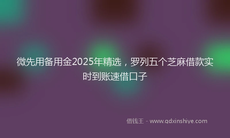 微先用备用金2025年精选，罗列五个芝麻借款实时到账速借口子