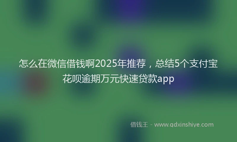 怎么在微信借钱啊2025年推荐，总结5个支付宝花呗逾期万元快速贷款app