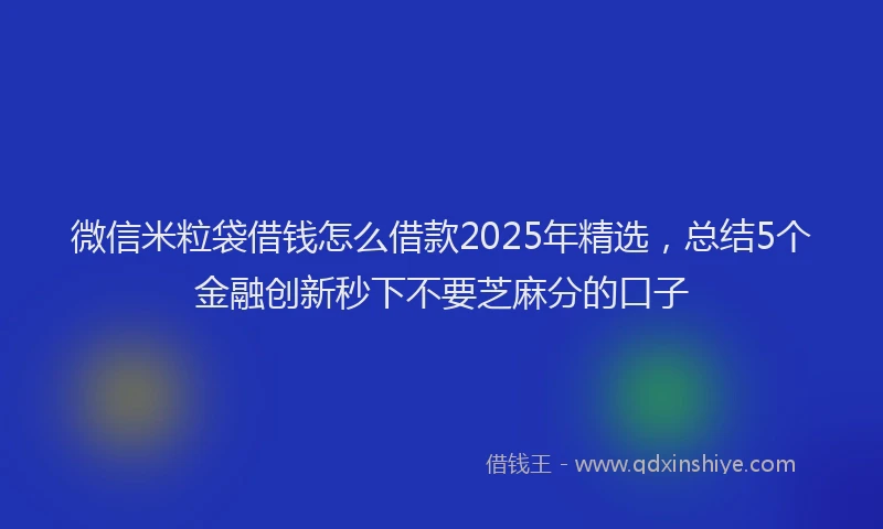 微信米粒袋借钱怎么借款2025年精选，总结5个金融创新秒下不要芝麻分的口子
