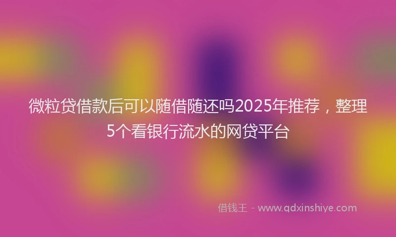 微粒贷借款后可以随借随还吗2025年推荐，整理5个看银行流水的网贷平台