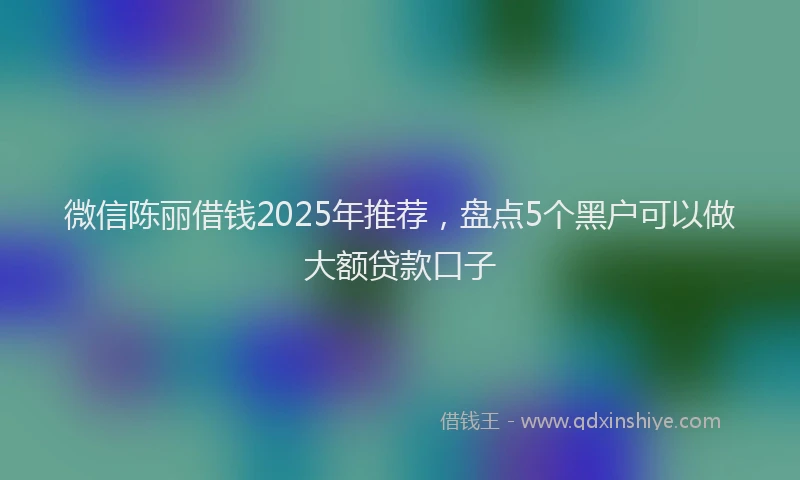 微信陈丽借钱2025年推荐，盘点5个黑户可以做大额贷款口子