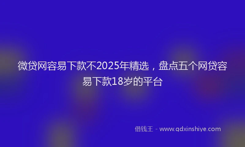 微贷网容易下款不2025年精选，盘点五个网贷容易下款18岁的平台