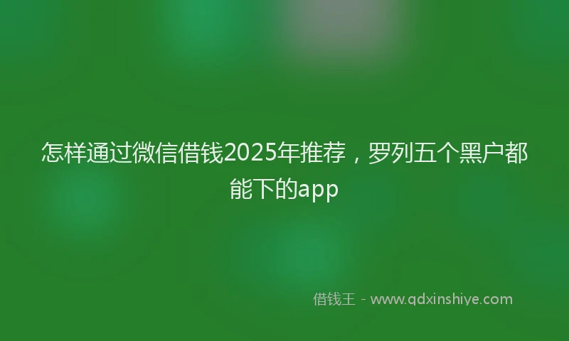 怎样通过微信借钱2025年推荐，罗列五个黑户都能下的app