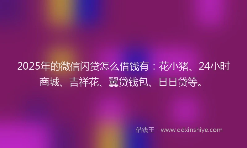 2025年的微信闪贷怎么借钱有：花小猪、24小时商城、吉祥花、翼贷钱包、日日贷等。