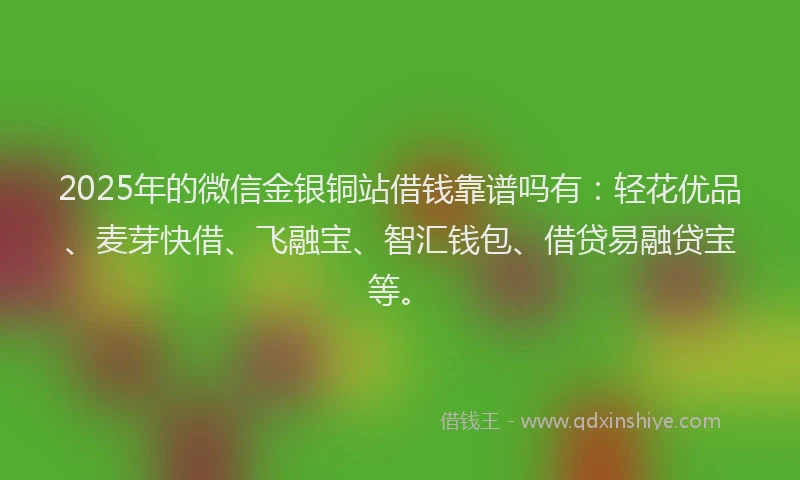 2025年的微信金银铜站借钱靠谱吗有：轻花优品、麦芽快借、飞融宝、智汇钱包、借贷易融贷宝等。