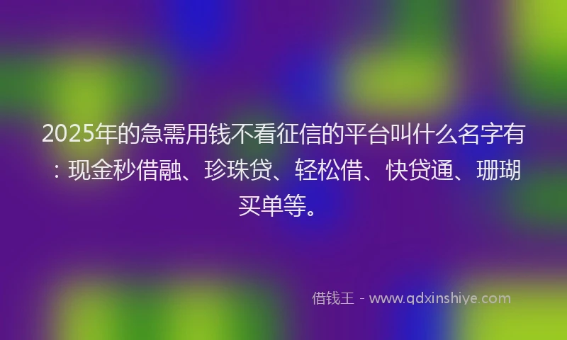 2025年的急需用钱不看征信的平台叫什么名字有：现金秒借融、珍珠贷、轻松借、快贷通、珊瑚买单等。
