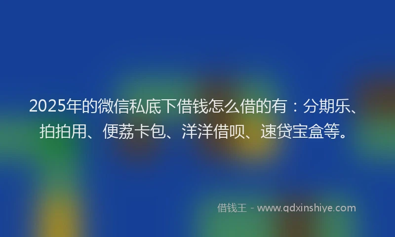 2025年的微信私底下借钱怎么借的有：分期乐、拍拍用、便荔卡包、洋洋借呗、速贷宝盒等。