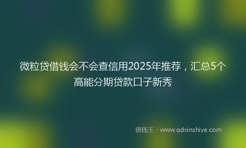 微粒贷借钱会不会查信用2025年推荐，汇总5个高能分期贷款口子新秀