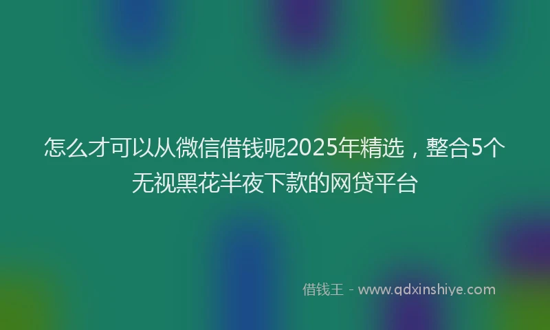 怎么才可以从微信借钱呢2025年精选，整合5个无视黑花半夜下款的网贷平台