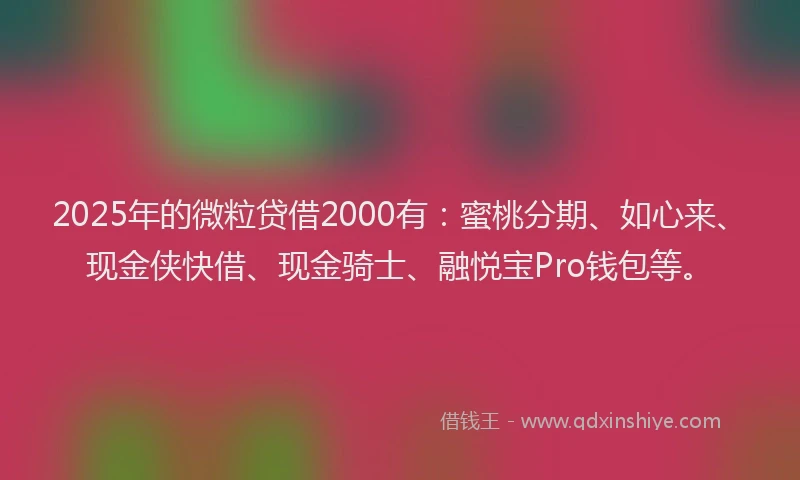 2025年的微粒贷借2000有：蜜桃分期、如心来、现金侠快借、现金骑士、融悦宝Pro钱包等。