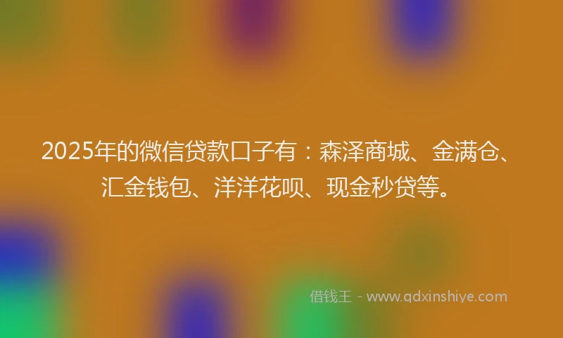 2025年的微信贷款口子有：森泽商城、金满仓、汇金钱包、洋洋花呗、现金秒贷等。