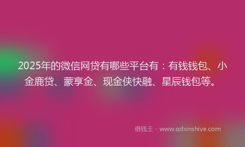 2025年的微信网贷有哪些平台有：有钱钱包、小金鹿贷、蒙享金、现金侠快融、星辰钱包等。