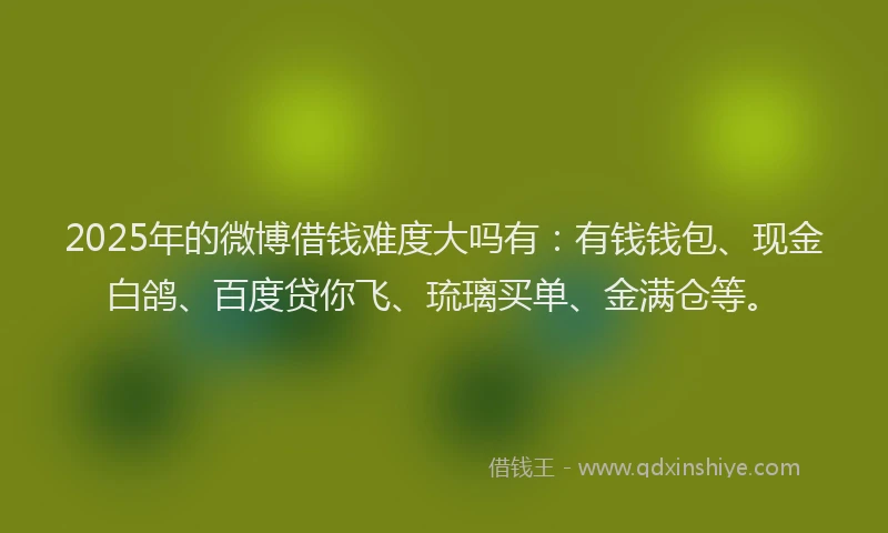 2025年的微博借钱难度大吗有：有钱钱包、现金白鸽、百度贷你飞、琉璃买单、金满仓等。