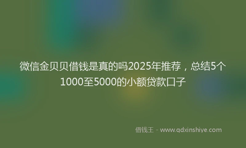 微信金贝贝借钱是真的吗2025年推荐，总结5个1000至5000的小额贷款口子