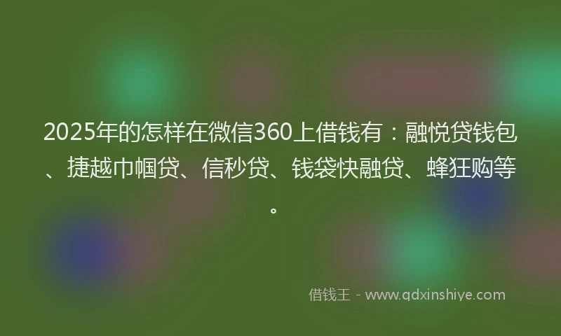 2025年的怎样在微信360上借钱有：融悦贷钱包、捷越巾帼贷、信秒贷、钱袋快融贷、蜂狂购等。
