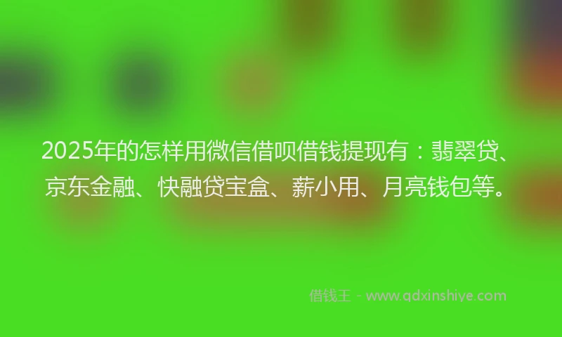 2025年的怎样用微信借呗借钱提现有：翡翠贷、京东金融、快融贷宝盒、薪小用、月亮钱包等。
