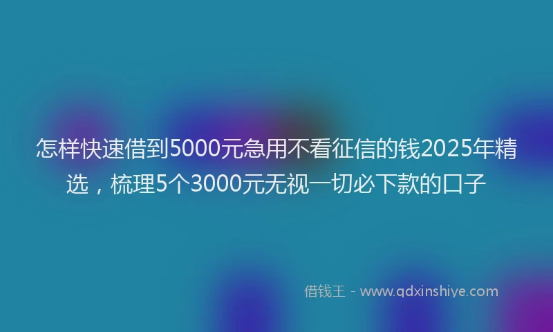 怎样快速借到5000元急用不看征信的钱2025年精选，梳理5个3000元无视一切必下款的口子
