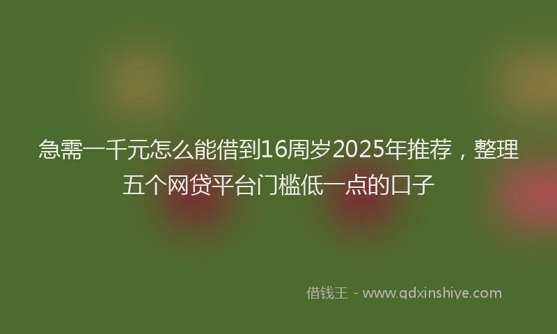 急需一千元怎么能借到16周岁2025年推荐，整理五个网贷平台门槛低一点的口子