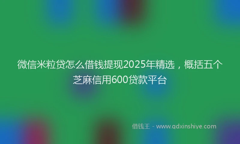微信米粒贷怎么借钱提现2025年精选，概括五个芝麻信用600贷款平台