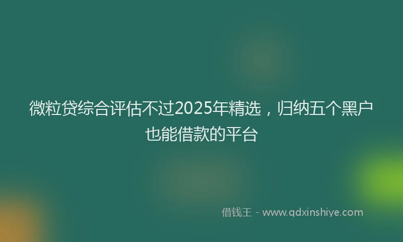 微粒贷综合评估不过2025年精选，归纳五个黑户也能借款的平台