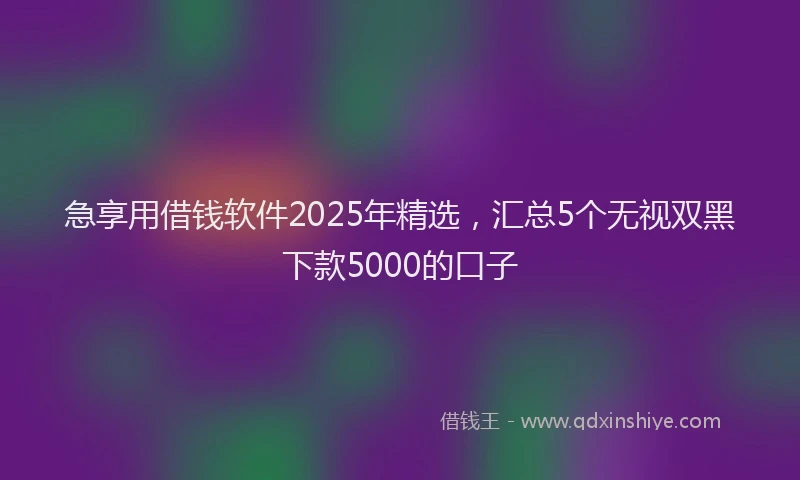 急享用借钱软件2025年精选，汇总5个无视双黑下款5000的口子