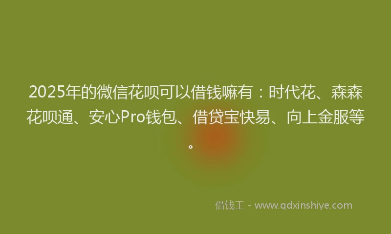 2025年的微信花呗可以借钱嘛有：时代花、森森花呗通、安心Pro钱包、借贷宝快易、向上金服等。
