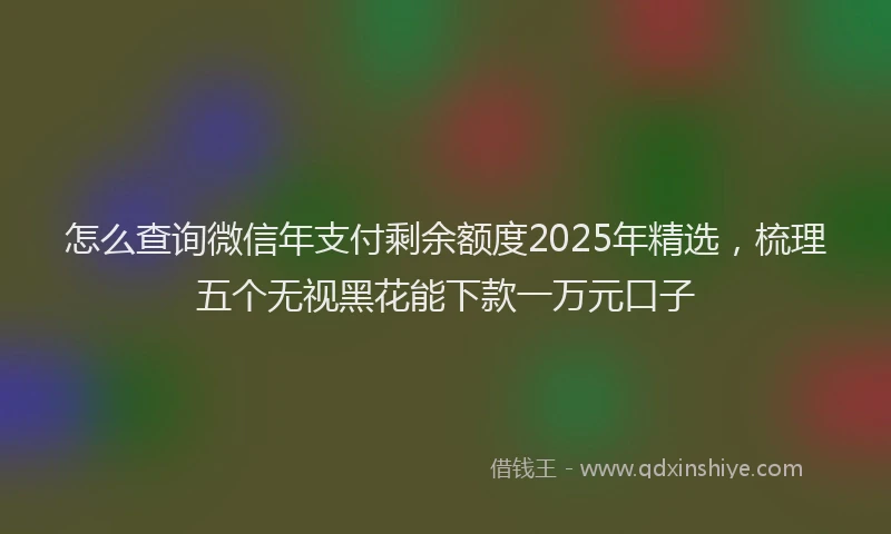怎么查询微信年支付剩余额度2025年精选，梳理五个无视黑花能下款一万元口子