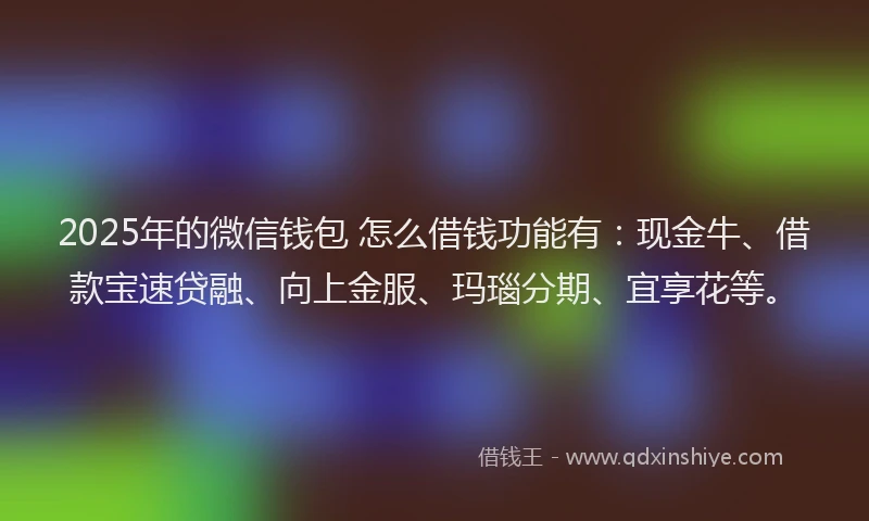 2025年的微信钱包 怎么借钱功能有：现金牛、借款宝速贷融、向上金服、玛瑙分期、宜享花等。