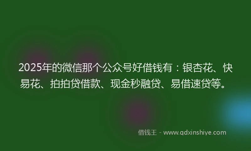 2025年的微信那个公众号好借钱有：银杏花、快易花、拍拍贷借款、现金秒融贷、易借速贷等。