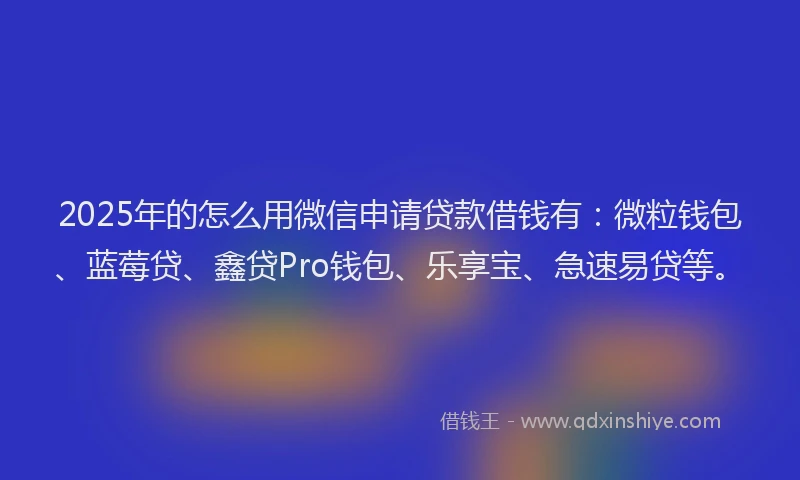 2025年的怎么用微信申请贷款借钱有：微粒钱包、蓝莓贷、鑫贷Pro钱包、乐享宝、急速易贷等。
