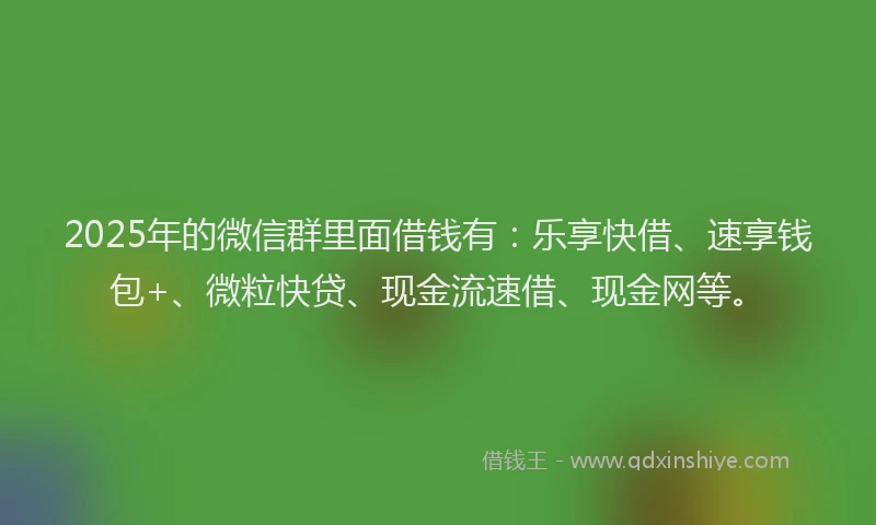 2025年的微信群里面借钱有：乐享快借、速享钱包+、微粒快贷、现金流速借、现金网等。