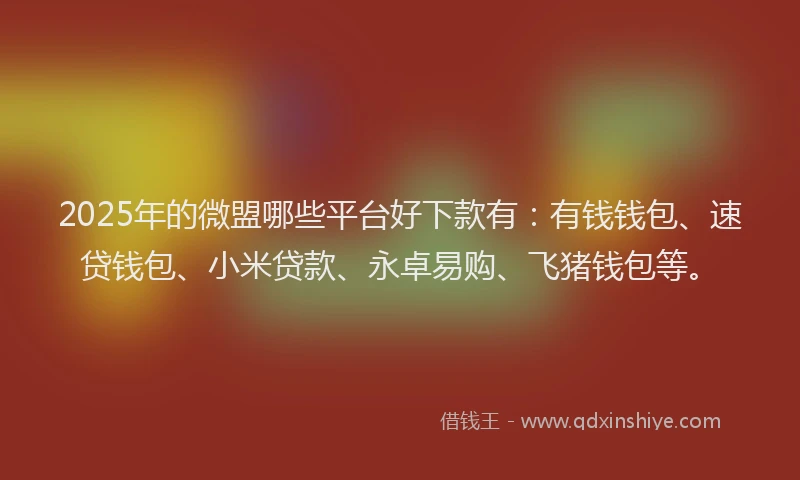 2025年的微盟哪些平台好下款有：有钱钱包、速贷钱包、小米贷款、永卓易购、飞猪钱包等。