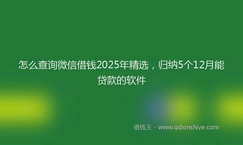 怎么查询微信借钱2025年精选，归纳5个12月能贷款的软件