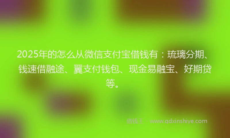 2025年的怎么从微信支付宝借钱有：琉璃分期、钱速借融途、翼支付钱包、现金易融宝、好期贷等。