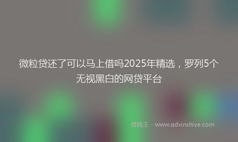 微粒贷还了可以马上借吗2025年精选，罗列5个无视黑白的网贷平台