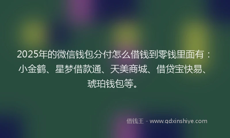 2025年的微信钱包分付怎么借钱到零钱里面有：小金鹤、星梦借款通、天美商城、借贷宝快易、琥珀钱包等。