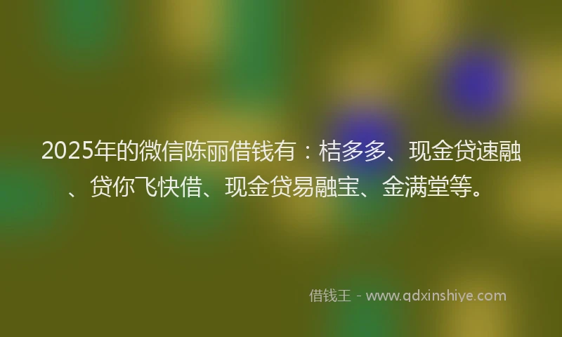 2025年的微信陈丽借钱有：桔多多、现金贷速融、贷你飞快借、现金贷易融宝、金满堂等。