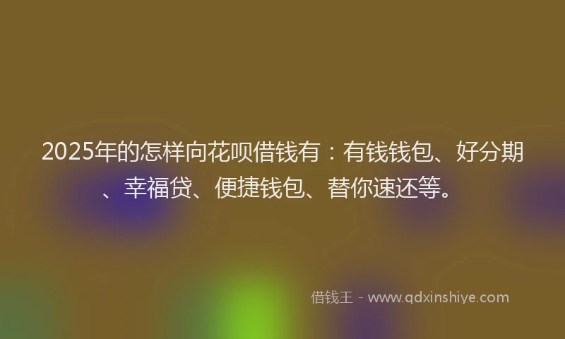 2025年的怎样向花呗借钱有：有钱钱包、好分期、幸福贷、便捷钱包、替你速还等。
