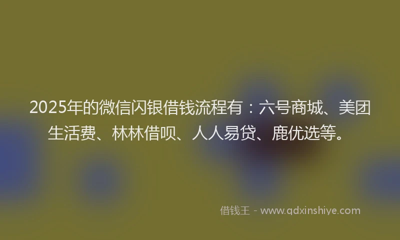 2025年的微信闪银借钱流程有：六号商城、美团生活费、林林借呗、人人易贷、鹿优选等。