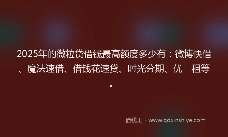 2025年的微粒贷借钱最高额度多少有：微博快借、魔法速借、借钱花速贷、时光分期、优一租等。