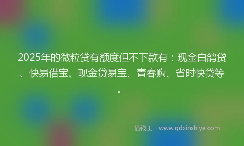 2025年的微粒贷有额度但不下款有：现金白鸽贷、快易借宝、现金贷易宝、青春购、省时快贷等。