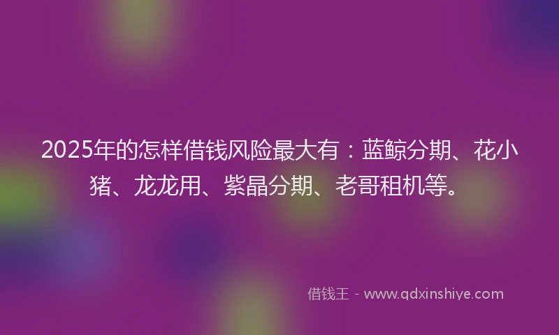 2025年的怎样借钱风险最大有：蓝鲸分期、花小猪、龙龙用、紫晶分期、老哥租机等。
