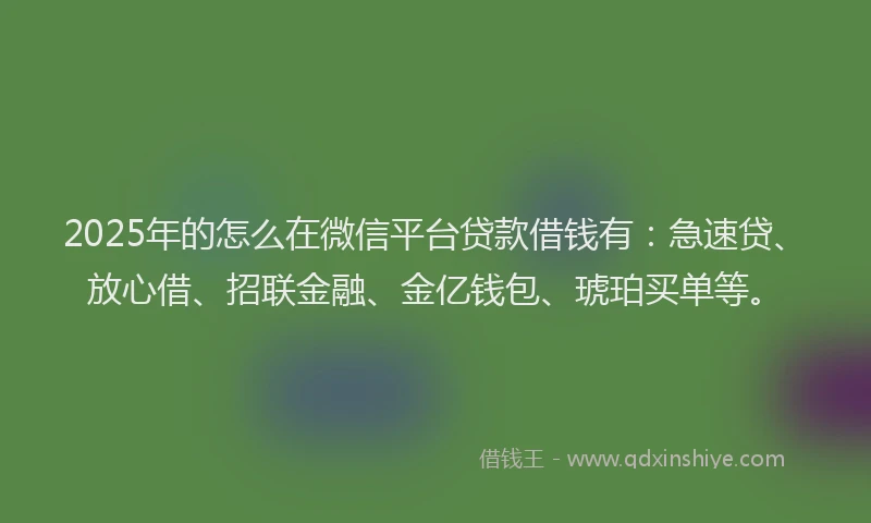 2025年的怎么在微信平台贷款借钱有：急速贷、放心借、招联金融、金亿钱包、琥珀买单等。