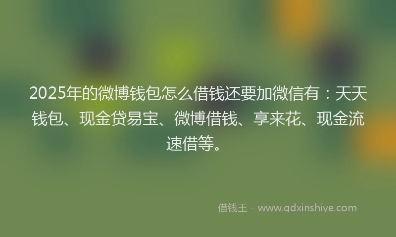2025年的微博钱包怎么借钱还要加微信有：天天钱包、现金贷易宝、微博借钱、享来花、现金流速借等。